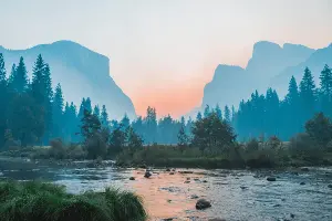 Landscape